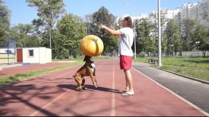 Прощай Мой Тайсик?