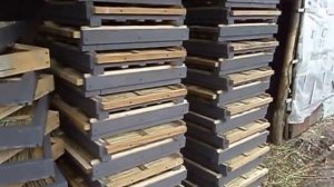 Корпусной улей из камыша.