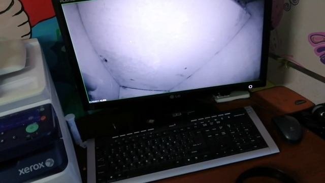 Скрытое видеонаблюдение скворечник
