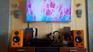 sony ss-al 3 yamaha A950 FiiO X5