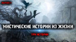 Мистические истории из жизни (3в1) Выпуск №4