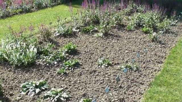 Сад, в котором испытывают растения