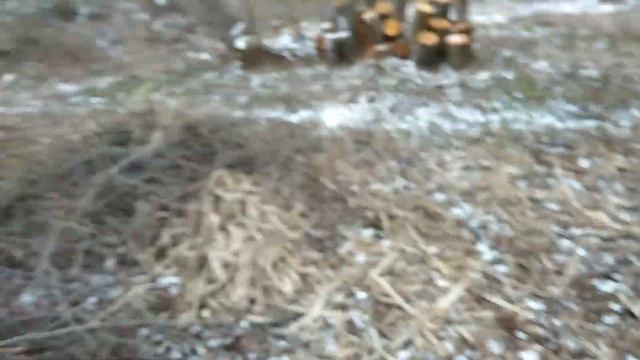 Редкая монета СССР на поляне в старой деревне. смотреть онлайн