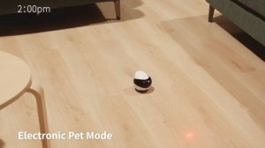A Smart Companion Robot For Your Pet --- Enabot EBO Air Promotional Video