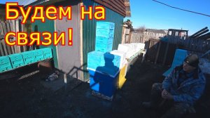 Будни пчеловода, Подготовка к сезону  СРОЧНОЕ СООБЩЕНИЕ! Канал на Яндекс Дзен!