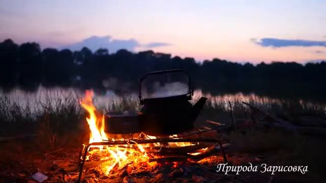 МЕДИТАЦИЯ НА ОГОНЬ - у костра на природе слушаем ЗВУКИ ПРИРОДЫ ~ Дрова Горят - ЧАЙНИК ЗАКИПАЕТ ??