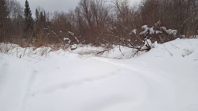 Река Нож, здесь в её тихих заводях водится рыба Хариус. смотреть онлайн