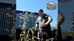 УРАЛ велосипед "реклама"