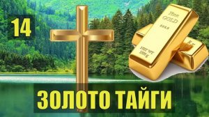 ЗОЛОТО ТАЙГИ 2 ВСЕ СЕРИИ ТАЙГА ЛЕС ИСТОРИИ из ЖИЗНИ ДЕТЕКТИВ ПРИИСК СЛУЧАЙ в ТАЙГЕ СУДЬБА СЕРИАЛ