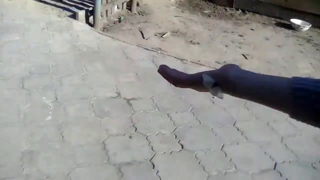 Бесстрашная бабочка седит на руке у человека смотреть онлайн