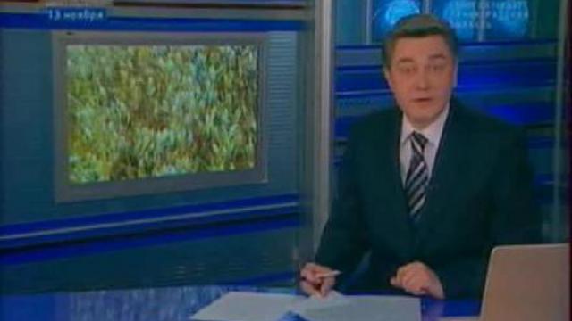 Болезнь Зерна