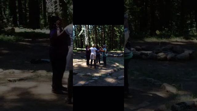 Redwood Forest & Mount Shasta смотреть онлайн