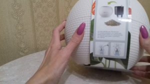 81. Спасаю кливию. Кашпо Lechuza.