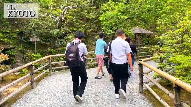 [京都|Kyoto]"金閣寺"を観光｜金色の世界遺産を散策｜Kyoto "Kinkaku-ji Temple" Walking Tour(Vlog) смотреть онлайн