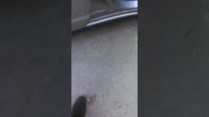 Suzuki SX4 blower motor resistor  install