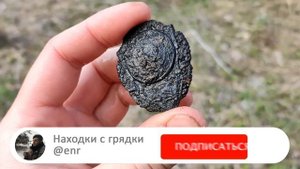 Коп царских монет и много находок на месте большой деревни!