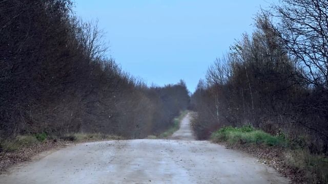 Велопоход с ночевкой. Одиночный поход на велосипеде Лихославль- Медведица
