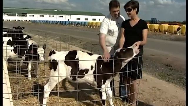 Бизнес персона. Андрей Даниленко 2/3