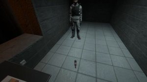 Спидран дешки в SCP SL)