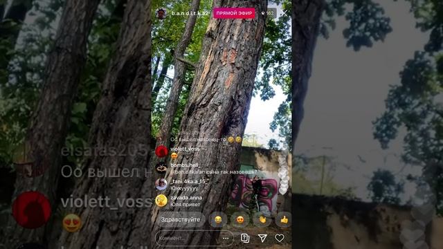 Юля Чигринец - слушаем музыку с Бандиткой в лесу и смотрим, как она фотографирует