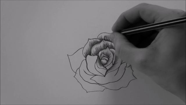 How to draw a Rose In 10 Minutes step by step Real Time смотреть онлайн