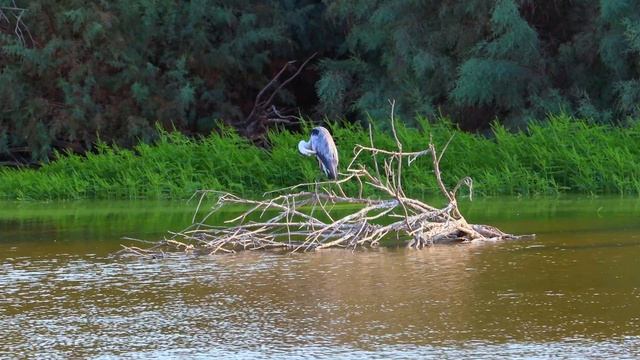 Природа в 4K / Уникальные Пейзажи... / Ханунов Кфир (2021) смотреть онлайн