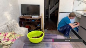 Подготовка к Новому 2023 году