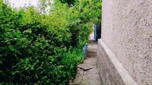 Где купить дом Севастополе в Байдарской долине ДЕШЕВО с очень хорошим земельным участком в центре!