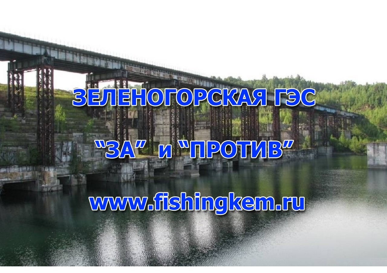 Зеленогорская ( Крапивинская ) ГЭС : "ЗА" и "ПРОТИВ". Мнение гидробиолога.