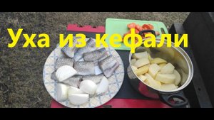 Уха из КЕФАЛИ