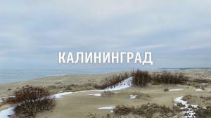 Приятный #vlog | Калининград и мой день рождения