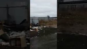 Бездейстие правления АДНП Старниково,Раменский район,Московской области.