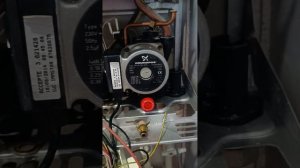 Газовый котел Immergas Eolo star 24 , небольшой обзор.