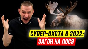 ЗАГОН на ЛОСЯ! ? Удачная загонная охота на лося 2022