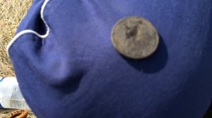 Поиск монет с теркой 705