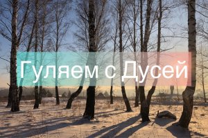 С Дусей гуляем по деревне