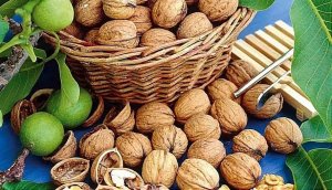 Какие орехи самые полезные | Орехи грецкие дешевле покупать в скорлупе или очищенные
