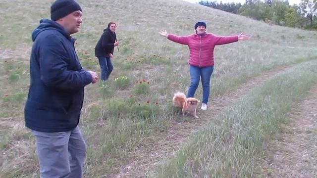 Выезд на природу. Долина диких пионов смотреть онлайн