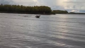 Fishroad 530HT под Evinrude E50DSLIN