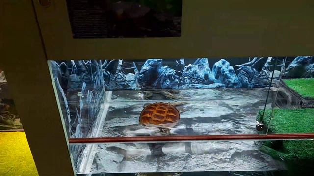 VLOG.НУ ВОТ И ЗДРАВСТВУЙ ЧЕЛЯБИНСКИЙ МЕТЕОРИТ 23.11.2023 смотреть онлайн