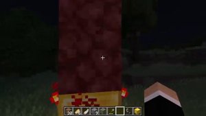 Неужели на этом СИДЕ происходит что-то МИСТИЧЕСКОЕ в Minecraft! (-666 Сид Майнкрафт) перезолив с юту