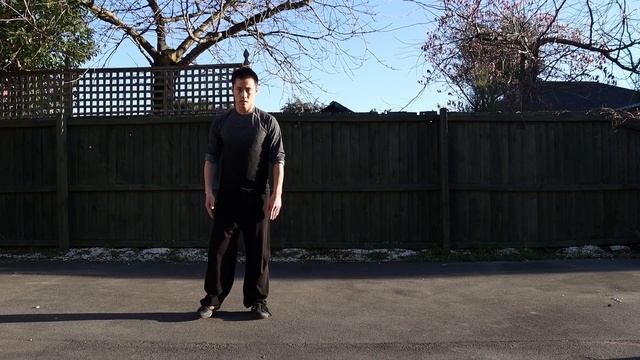 Shaolin Kung Fu Wushu Snake Style Basic Training For Beginners смотреть онлайн