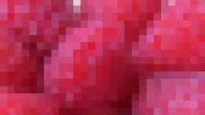 Олег Хромов.Малина , Малина.