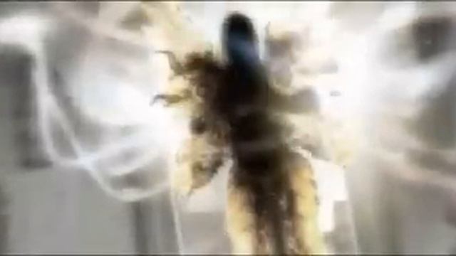 Diablo 2★ E3 1999 Cinematic ★ [Original] Official Diablo II [D2 Cut Scene] Trailer смотреть онлайн