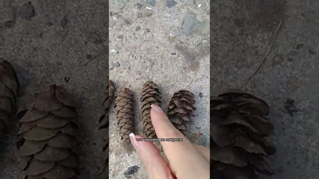 Степени повреждения волос !