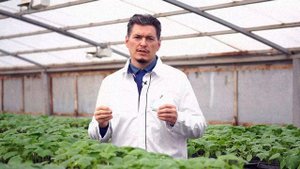 Hortaset — биорегулятор завязи для овощных культур, с содержанием макро- и микроэлементов.