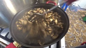 Как вкусно пожарить вешенки и шампиньоны