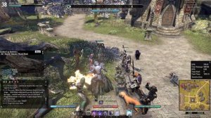 ESO: Epic Town Guard Glitch + Bonus Shenanigans