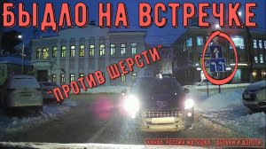 Быдло на встречке #165! Подборка на видеорегистратор!