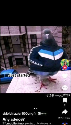 ахахахахаха